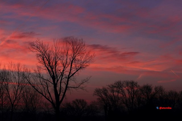 pink sunrise dawn SR15-15.JPG