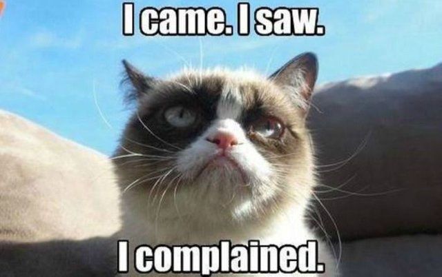 grumpyCatComplain.jpg.838x0_q80.jpg