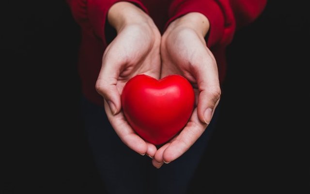 thumb2-hands-red-heart-love.jpg