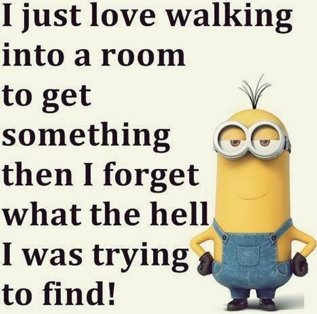 f1c8fbd08e4387952913261d77514f26--minions--funny-minion.jpg