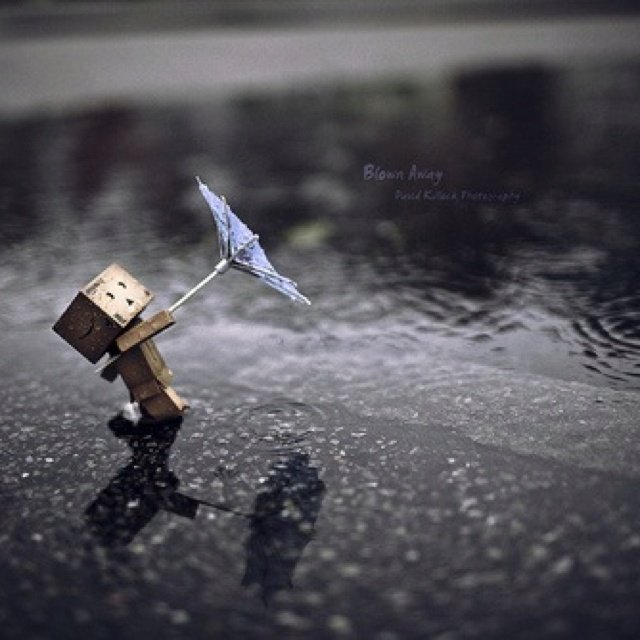 bd334045acf6618432a71d6fdf9518d0--rain-photography-cardboard-robot.jpg