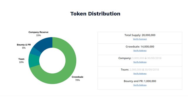 ZNC token distibution.jpg