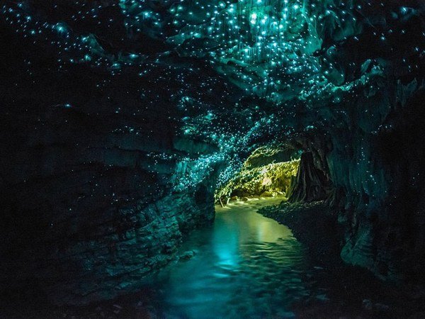 waitomo-glowworm-caves-new-zealand.jpg