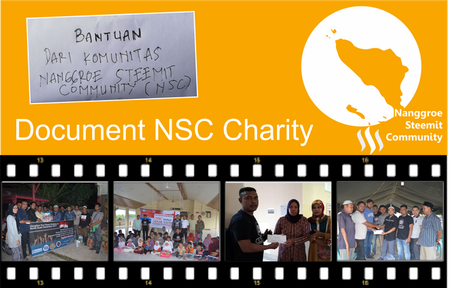 nsc charity.png