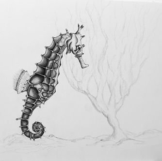 Seahorse_1.jpg