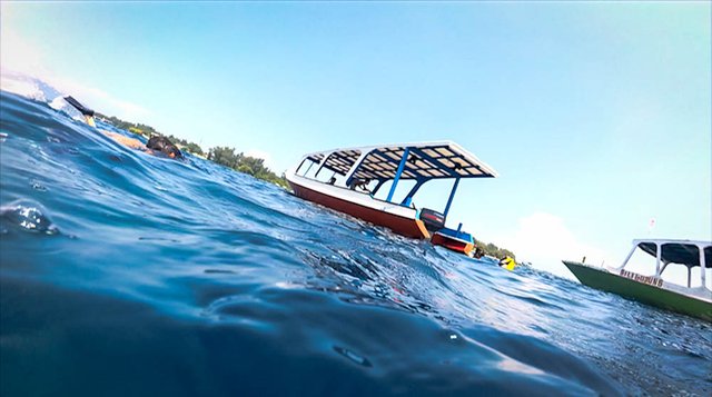 snorkgiliT-5.jpg