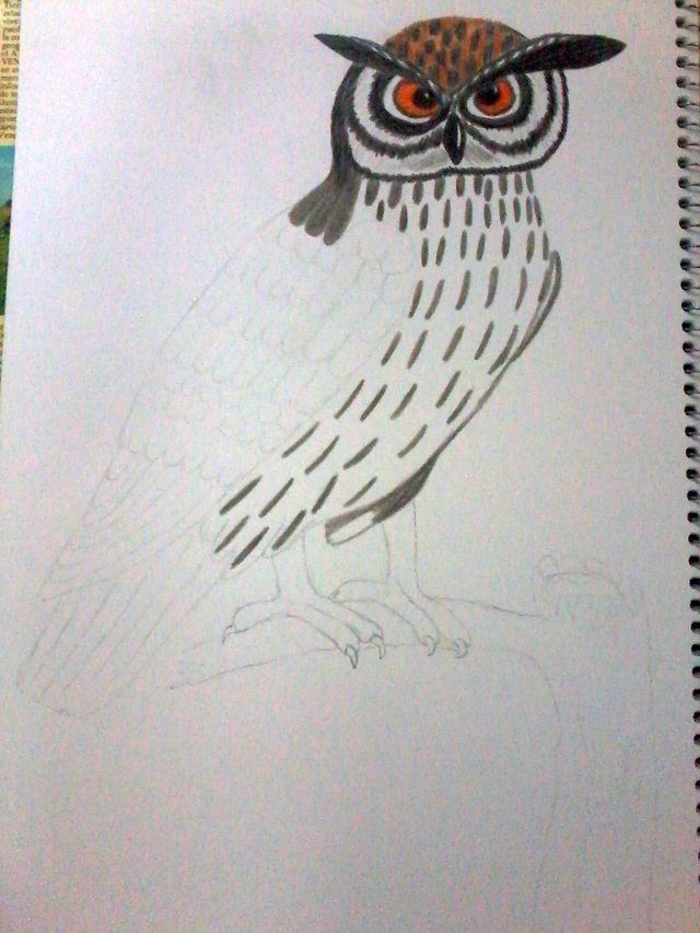 proceso2.jpg