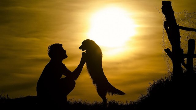 homem cachorro silueta.jpg