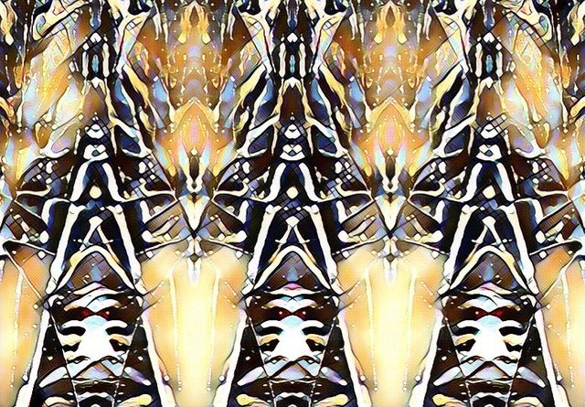 898C7ADA-0E75-4BC4-B522-92589F2E5875.jpeg