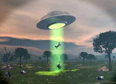 cattle-ufo-375x274.jpg