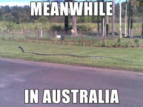 Australia-Meme-4.jpg