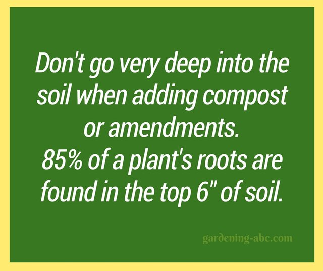 gardening tips 10.jpg