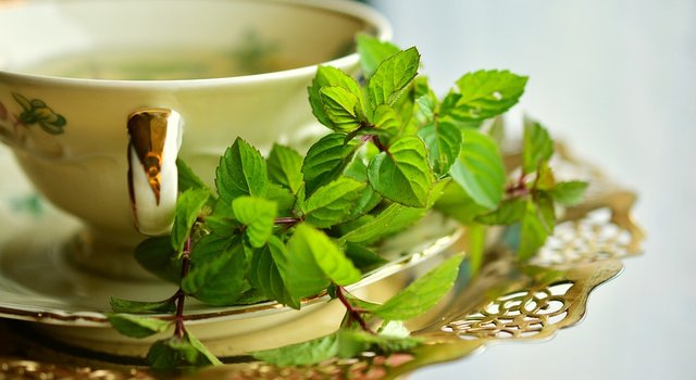 mint leaves ,.jpg