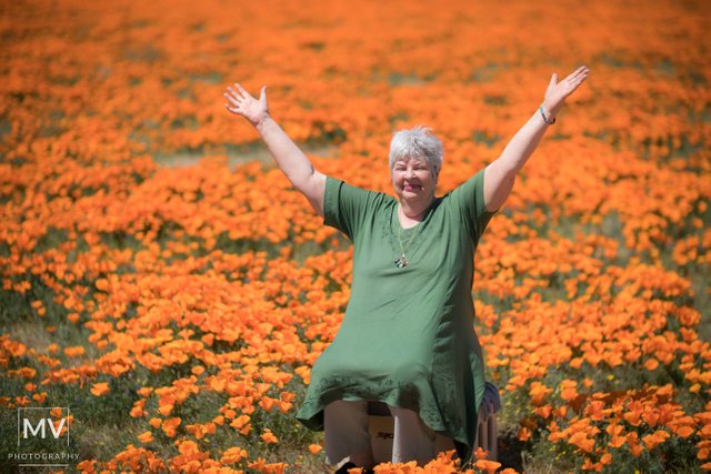 Antelope Vally Poppies April 4th 2017_123.jpg