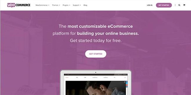 4-woocommerce-vs-ecommerce-platform.jpg