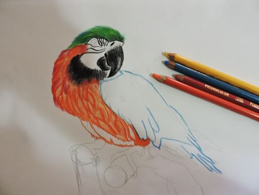 loro3.jpg