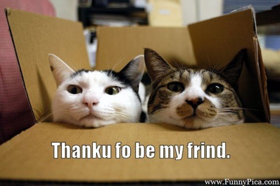 Funny-Cats-Funny-Cat-Picture-061-FunnyPica.com_-570x379.jpg