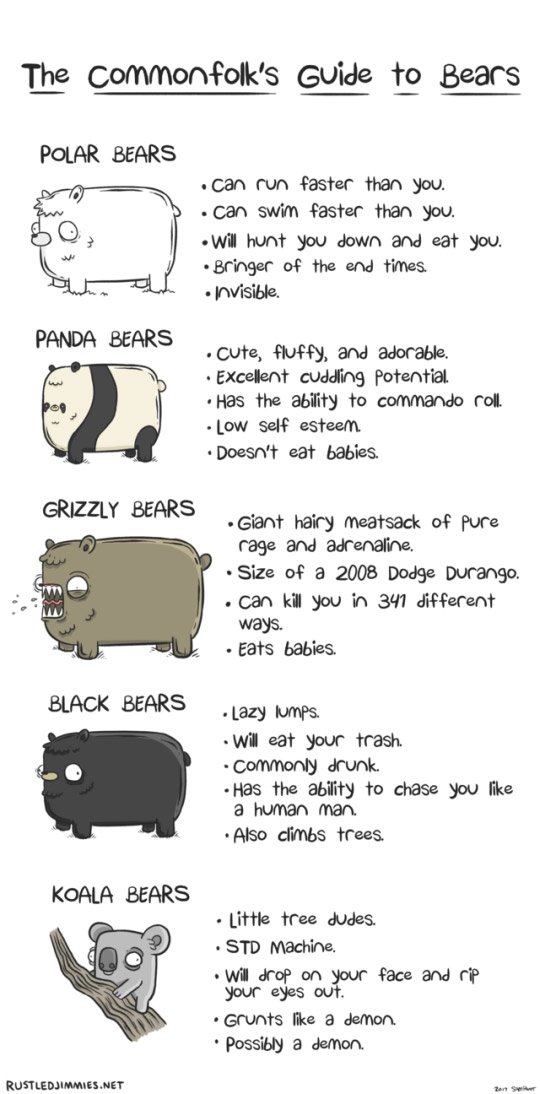 Picture-of-day-The-Commonfolk--s-Guide-to-Bears.jpg
