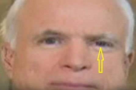 mccain-reptilian-eyes.jpeg