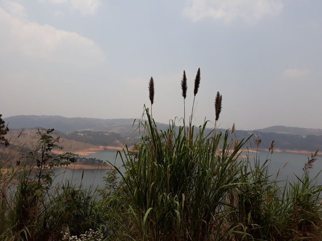 IMG-20180327-WA0007.jpg