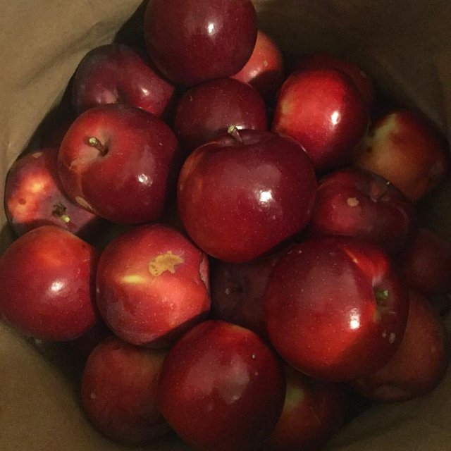 apple 2.jpg