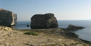 fungis rock.jpg