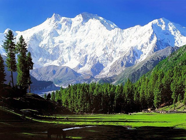 Natural-Beauty-of-Pakistan.jpg