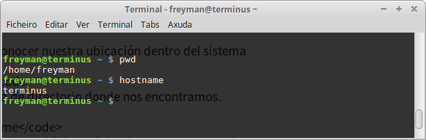 captura_pantalla_terminal_linux_pwd.png