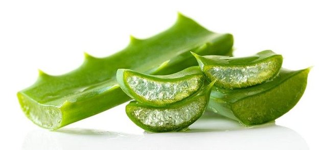 Aloe Vera Skin Gel.jpg