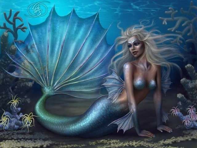 cd8893d6fd2ea5c95c493137da5a05af--mermaids-and-mermen-mermaid-artwork.jpg
