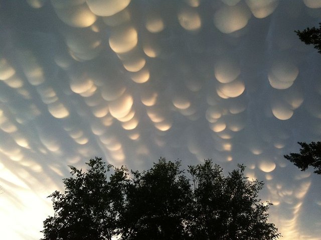 800px-Mammatus_clouds_regina_sk_june_2012.JPG