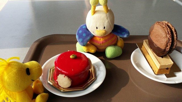 Peluche-Travel-sampling-French-patisserie.jpg