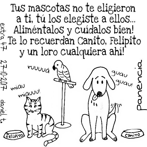 las mascotas.jpg