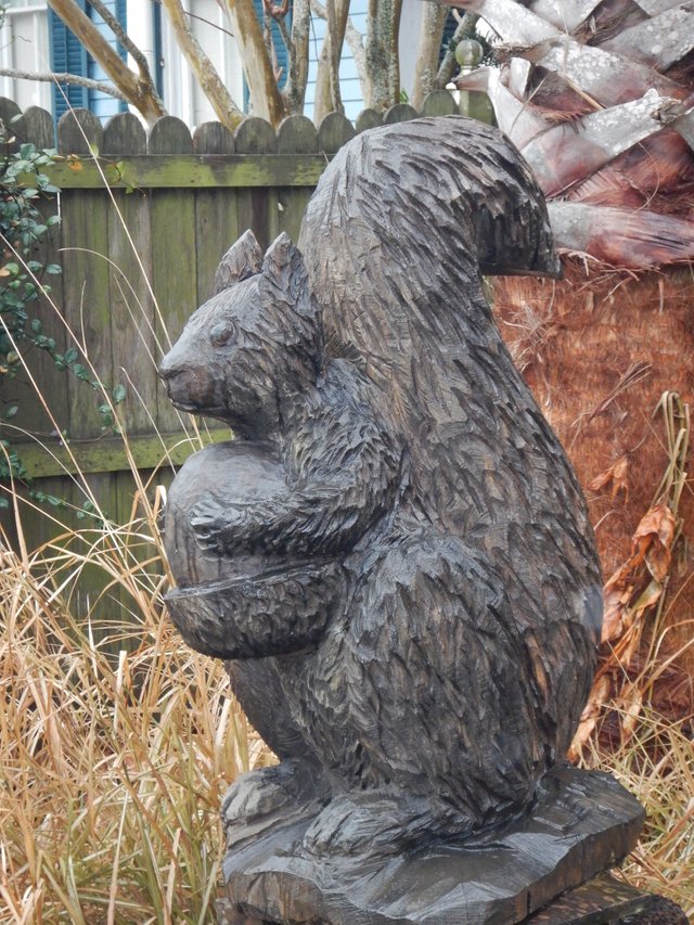 DSCN0315.JPG