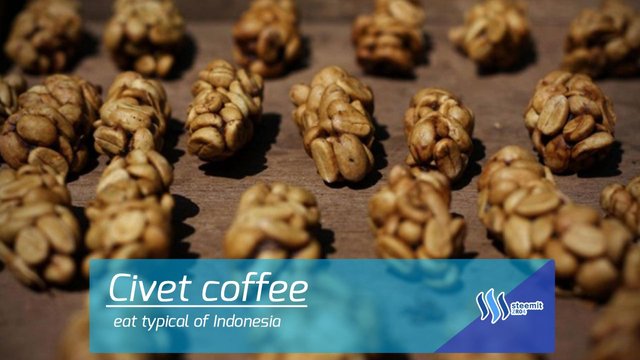 civet coffe.jpg