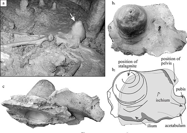 bones-stalagmites.jpg