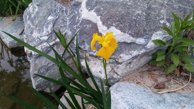 20180501_182546.jpg
