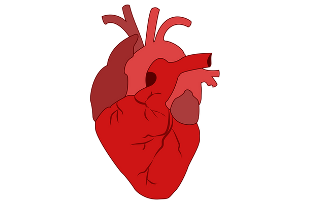 heart-2970152_960_720.png