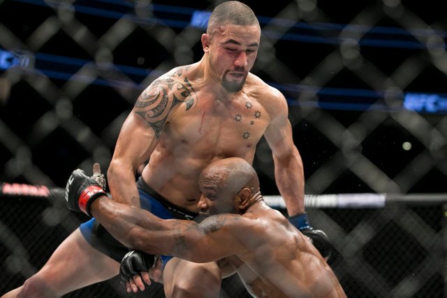 robert_whittaker.jpg