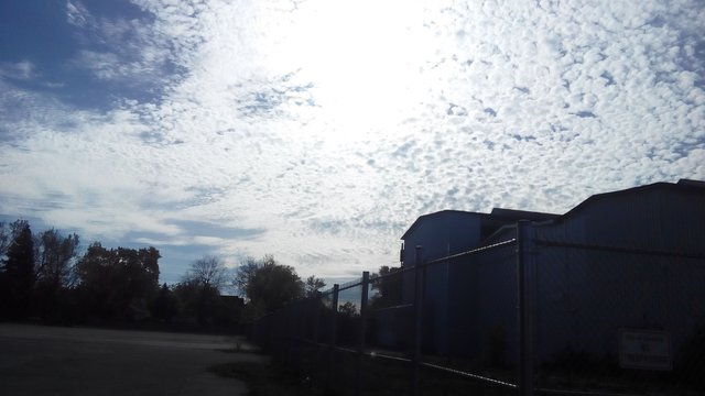 IMG_20171022_150831.jpg