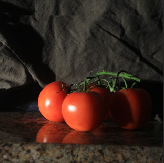 Tomatoes 5-12x12.jpg