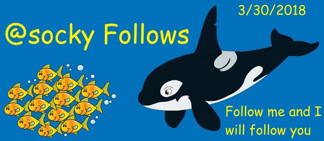 orca follow1.jpg