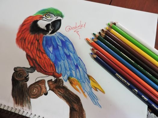 loro5.jpg