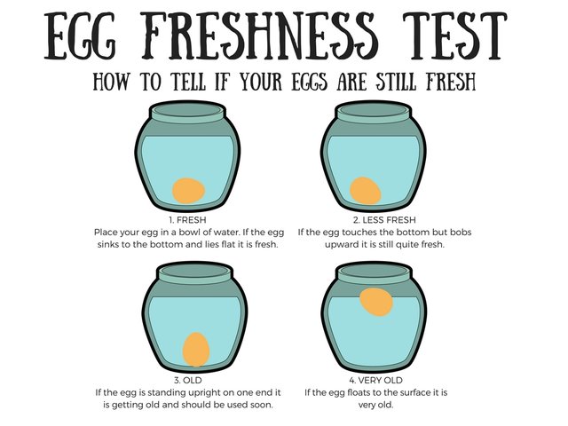 egg freshness test(4).jpg