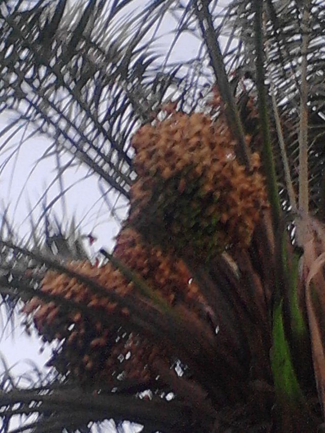IMG20160706183406.jpg