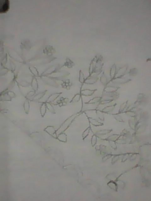 IMG0030A.jpg