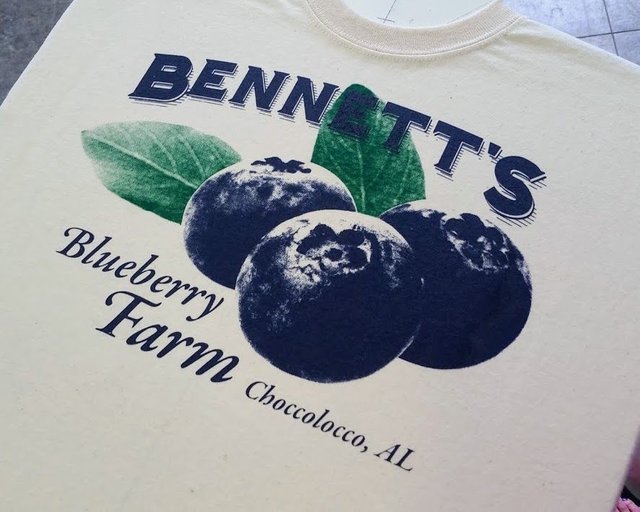 BennettsBlueberryFarm.jpg