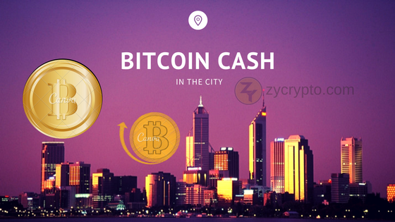 Bitcoin CASH (1).png