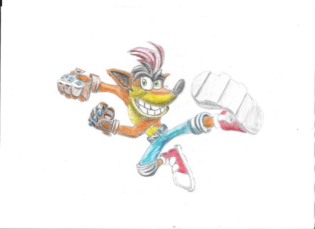 bandicoot6.jpg