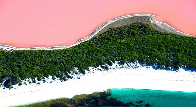 AustraliasPinkLakeHeader.jpg